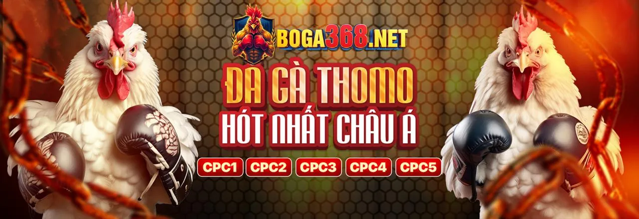 Phiên Bản Web Tối Ưu